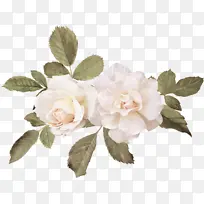 ��õ�������Ƭ����ز�-������