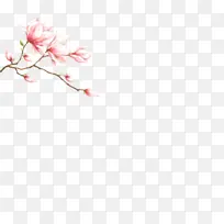 Ư�����޵Ļ���-������