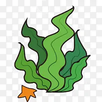 º£µ×µÄº£²ÝÖ²Îï-¿ÕÈôÍø º£µ×µÄº£²ÝÖ²Îï-¿ÕÈôÍø