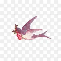 ���˽�������õ��-������