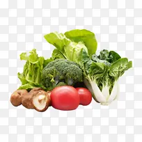 有机绿色蔬菜元素-空若网 有机绿色蔬菜元素-空若网