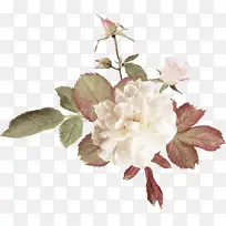 ��õ�������Ƭ����ز�-������