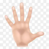张开的动画手-空若网 张开的动画手-空若网