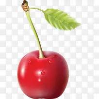 一颗樱桃图片-空若网 一颗樱桃图片-空若网