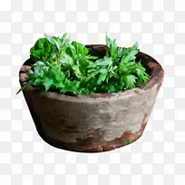 Íë×°´óÒ¶°¬²Ý-¿ÕÈôÍø Íë×°´óÒ¶°¬²Ý-¿ÕÈôÍø