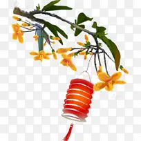 中国风树上挂灯笼-空若网 中国风树上挂灯笼-空若网