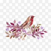 粉红 小鸟 树枝 装饰-空若网 粉红 小鸟 树枝 装饰-空若网
