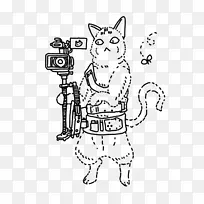 用相机摄影的猫猫-空若网 用相机摄影的猫猫-空若网