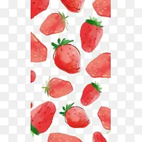 ��ݮ ��ݮ���� ˮ�ʲ�ݮ-������