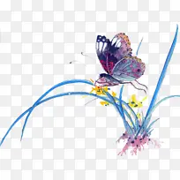 ��������-������