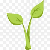 绿芽树枝发芽-空若网 绿芽树枝发芽-空若网