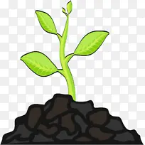 绿芽树枝发芽-空若网 绿芽树枝发芽-空若网