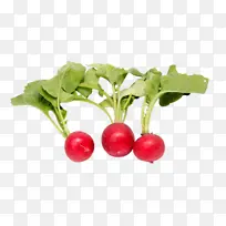 ���ܲ� ͼƬ �߲�ͼƬ �߲�-������