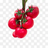 高清番茄水果-空若网 高清番茄水果-空若网