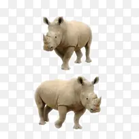 ½�ض���Ϭţ-������