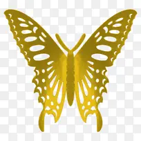 金色蝴蝶,纸制品-空若网 金色蝴蝶,纸制品-空若网