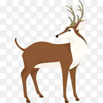 ¹ ʥ���� ��¹ ɵ����22-������