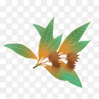 �й��� �ֻ� �廭 �˽����� �廭ֲ��-������