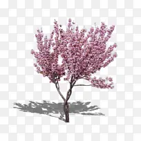 ��ɫ�������زĿ�ͼ-������