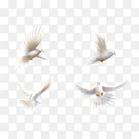 ��ƽ���زĿ�ͼ-������