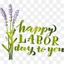 ��-޹�²�-������