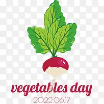 萝卜-萝卜叶蔬菜蔬菜萝卜蔬菜维生素沙拉-空若网 萝卜-萝卜叶蔬菜蔬菜萝卜蔬菜维生素沙拉-空若网