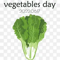 ��Ҷ����-ɳ��-������