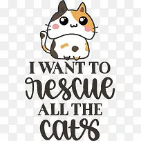 猫-猫人类费尔菲尔德国家银行鼻子幸福-空若网 猫-猫人类费尔菲尔德国家银行鼻子幸福-空若网