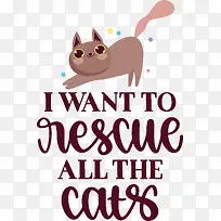 猫-猫须小猫鼻子小-空若网 猫-猫须小猫鼻子小-空若网