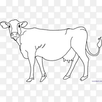 ��˹̹����������ţ������˹ţ��ţ�⣬������-������