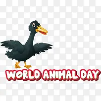 鸟类-鸟类鸭嘴水鸟科学-空若网 鸟类-鸟类鸭嘴水鸟科学-空若网