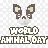 波士顿梗-波士顿梗鼻子胡须小狗梗-空若网 波士顿梗-波士顿梗鼻子胡须小狗梗-空若网