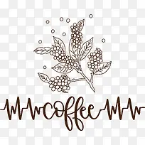 咖啡-咖啡豆-空若网 咖啡-咖啡豆-空若网