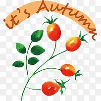 ���ѡ�������-������