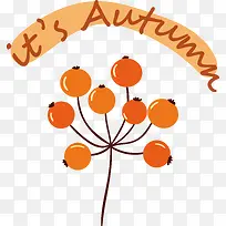 Ҷ-Ҷϵˮ����ѧ����ѧ-������