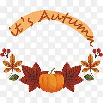 叶-叶植物植物结构生物学科学-空若网 叶-叶植物植物结构生物学科学-空若网