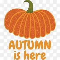 南瓜-橙色-空若网 南瓜-橙色-空若网