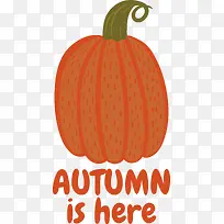 南瓜-橙色-空若网 南瓜-橙色-空若网