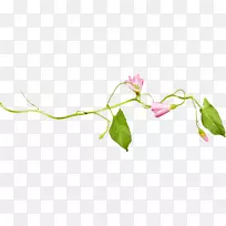 »¨ÄÒºó¼Ç-ÌÆÝÅÆÑ-¿ÕÈôÍø »¨ÄÒºó¼Ç-ÌÆÝÅÆÑ-¿ÕÈôÍø