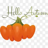 ��ȻʳƷ-�Ϲ��������-������