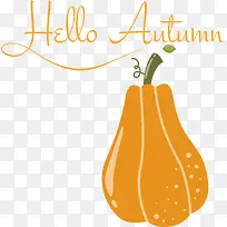 南瓜-橙色-空若网 南瓜-橙色-空若网