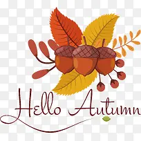 Ҷ-Ҷˮ����ѧֲ������ѧ-������