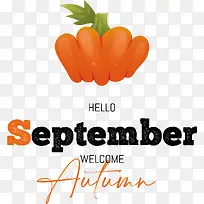 橙色-橙色-空若网 橙色-橙色-空若网