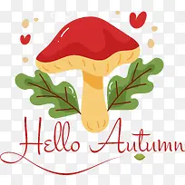 �ı�-??�ı�����-������