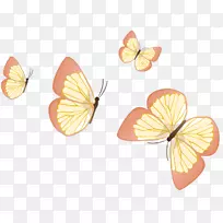 蝴蝶昆虫翅膀剪贴画-蝴蝶-空若网 蝴蝶昆虫翅膀剪贴画-蝴蝶-空若网