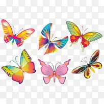 蝴蝶昆虫传粉者画若虫科-蝴蝶-空若网 蝴蝶昆虫传粉者画若虫科-蝴蝶-空若网