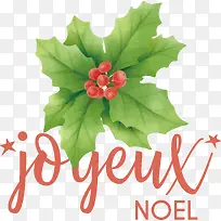 乔约·诺埃尔-圣诞快乐-空若网 乔约·诺埃尔-圣诞快乐-空若网