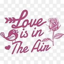 ���˽�-���˽�-������