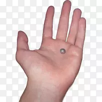 手指拇指-手-空若网 手指拇指-手-空若网