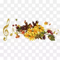 切花花卉图案花瓣-秋天-空若网 切花花卉图案花瓣-秋天-空若网